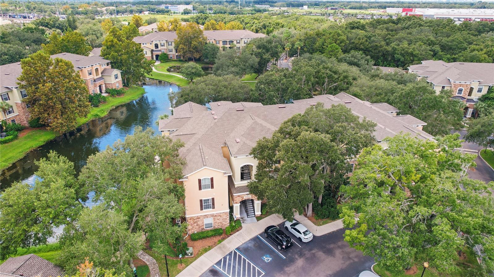 10105 COURTNEY OAKS CIR #203