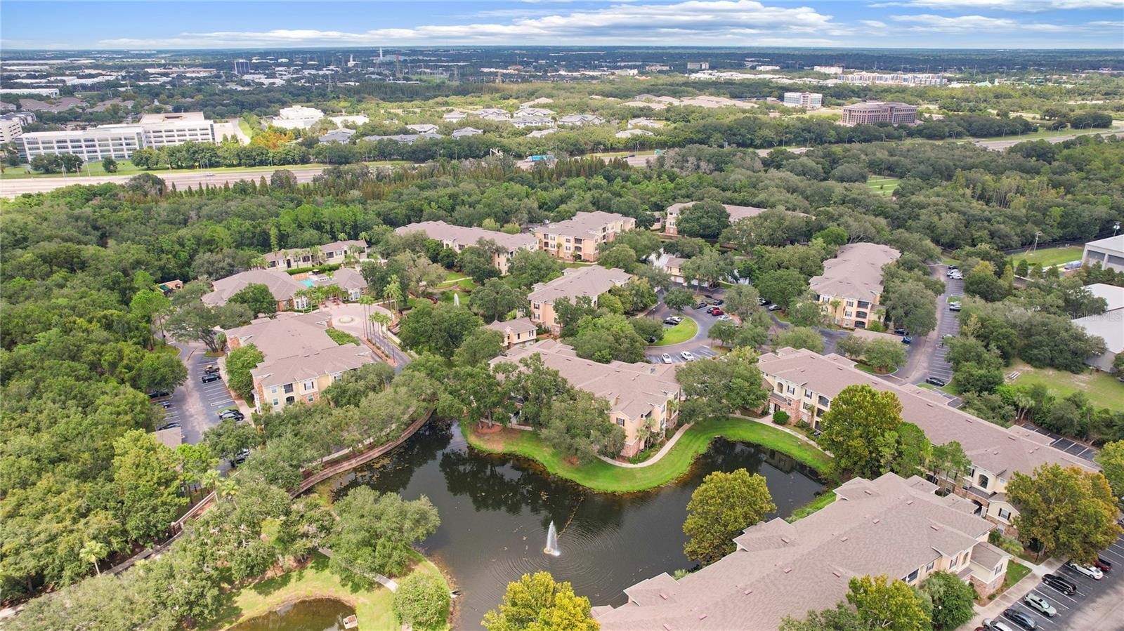 10105 COURTNEY OAKS CIR #203