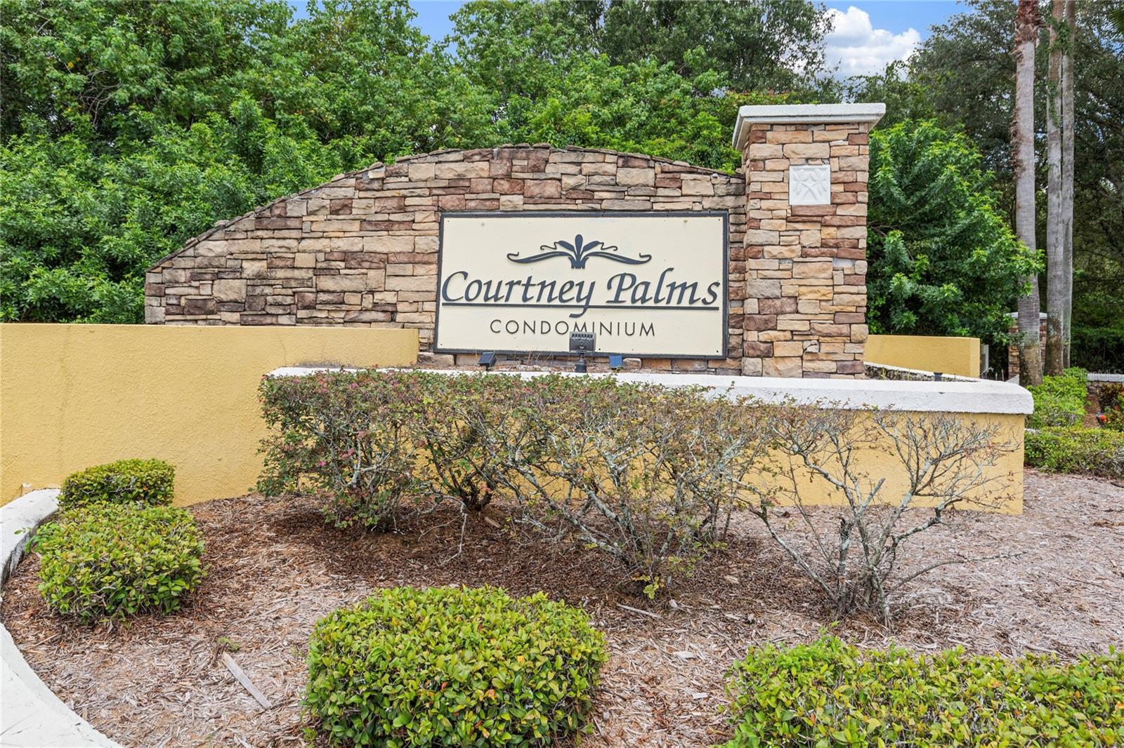 10105 COURTNEY OAKS CIR #203