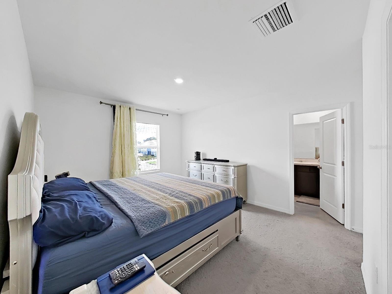 3556 WHITE DANDELION CT