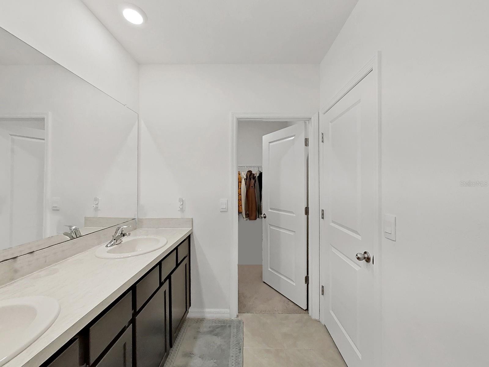3556 WHITE DANDELION CT