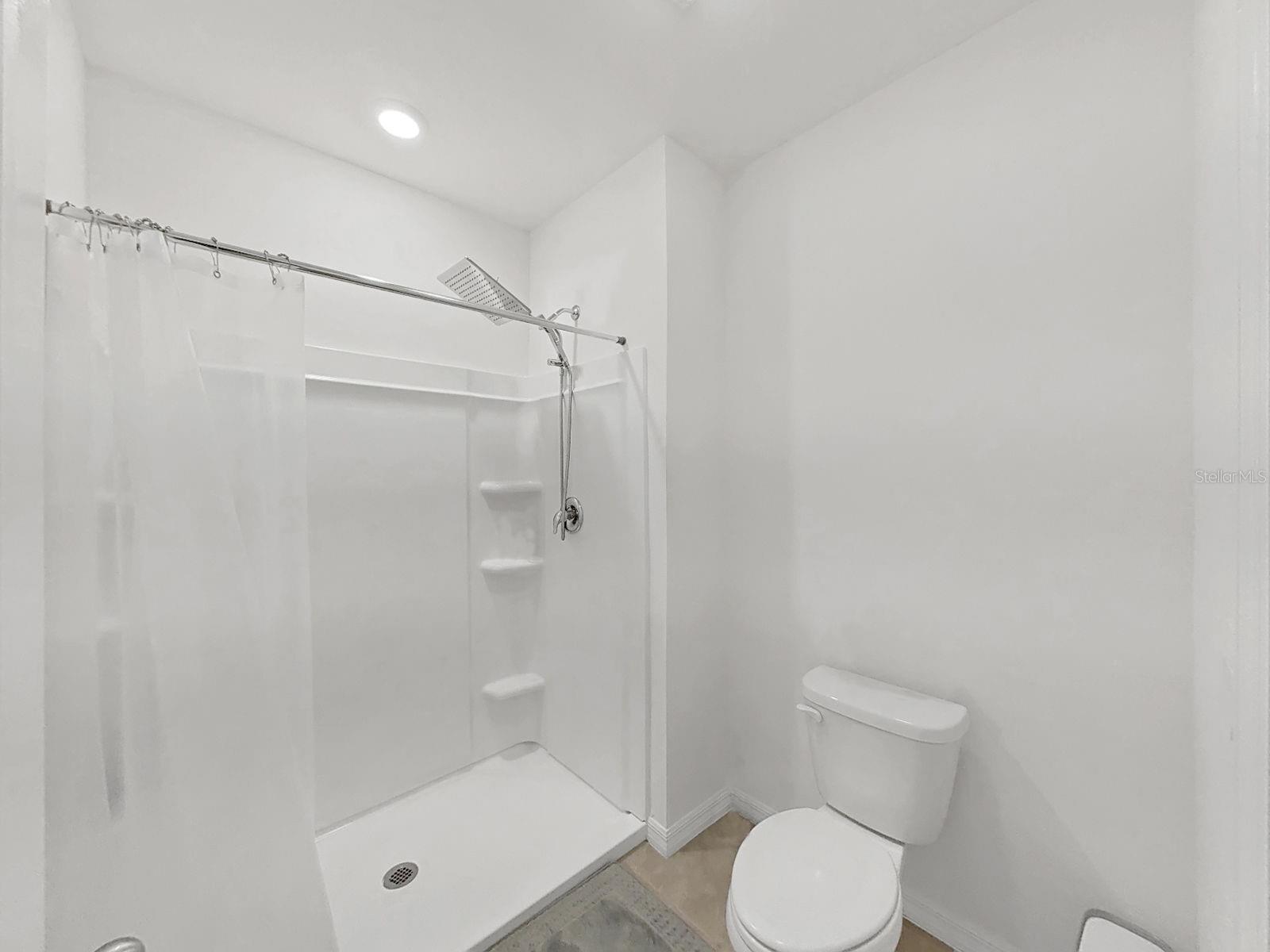 3556 WHITE DANDELION CT