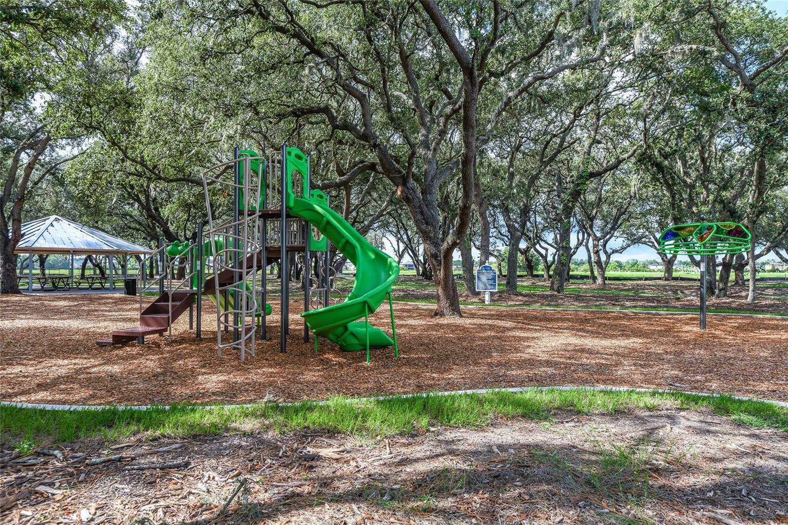 13125 FOXTAIL FERN DR
