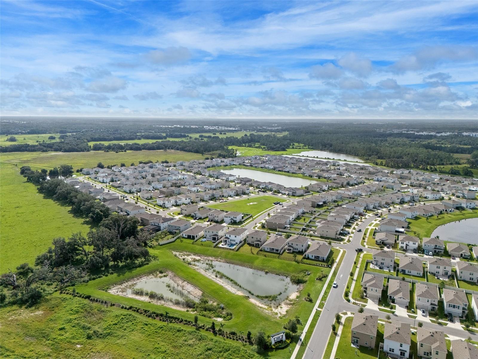 33503 FIELD MAPLE LOOP