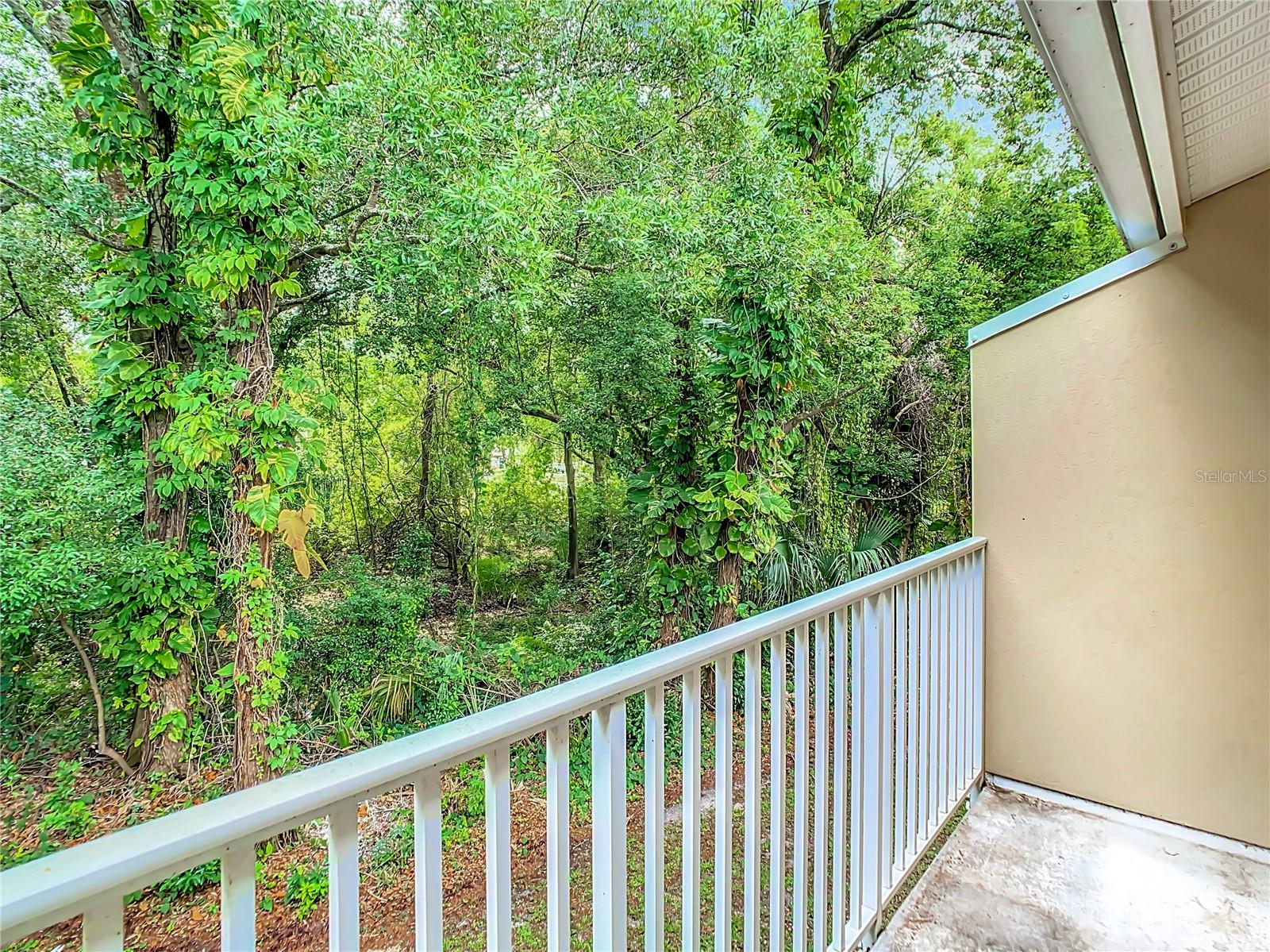 11237 CEDAR HOLLOW LN