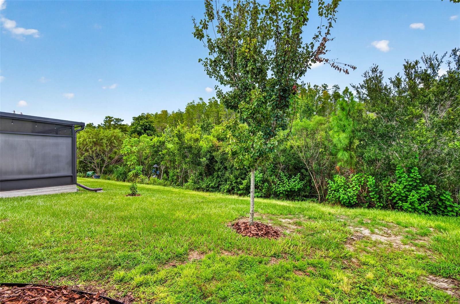 18333 TURNING LEAF CIR