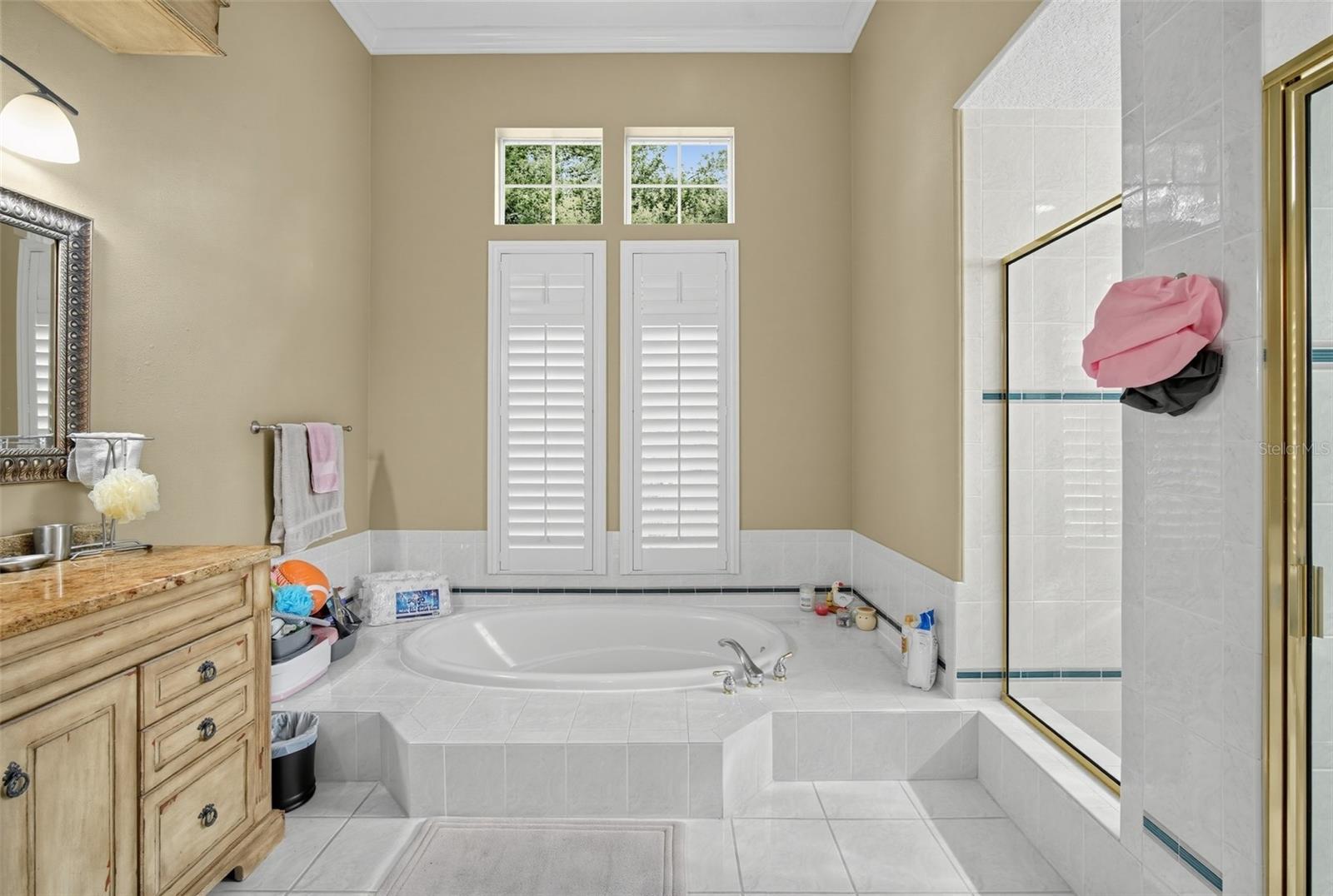 9108 WOODRIDGE RUN DR