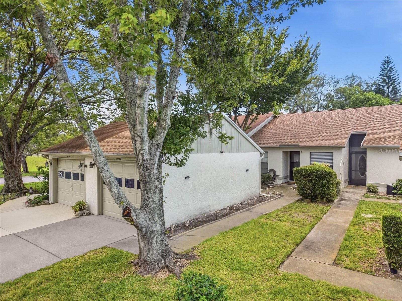 11715 SPRING TREE LN