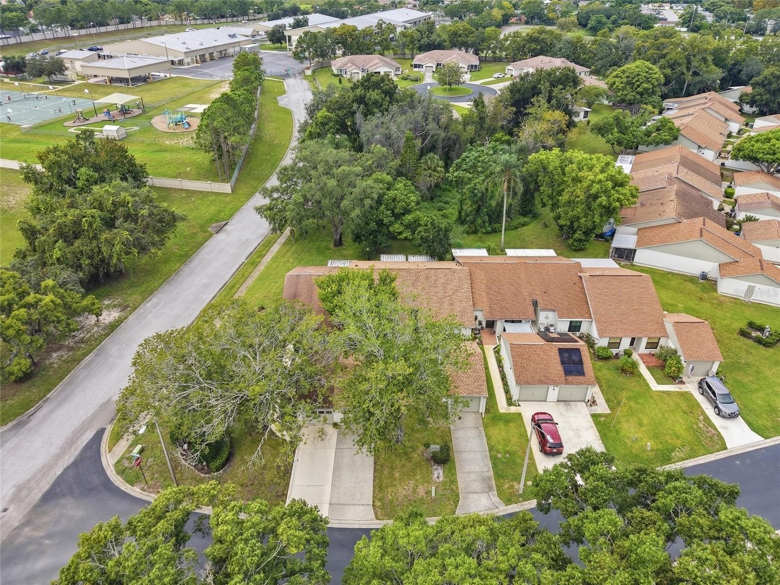 11715 SPRING TREE LN