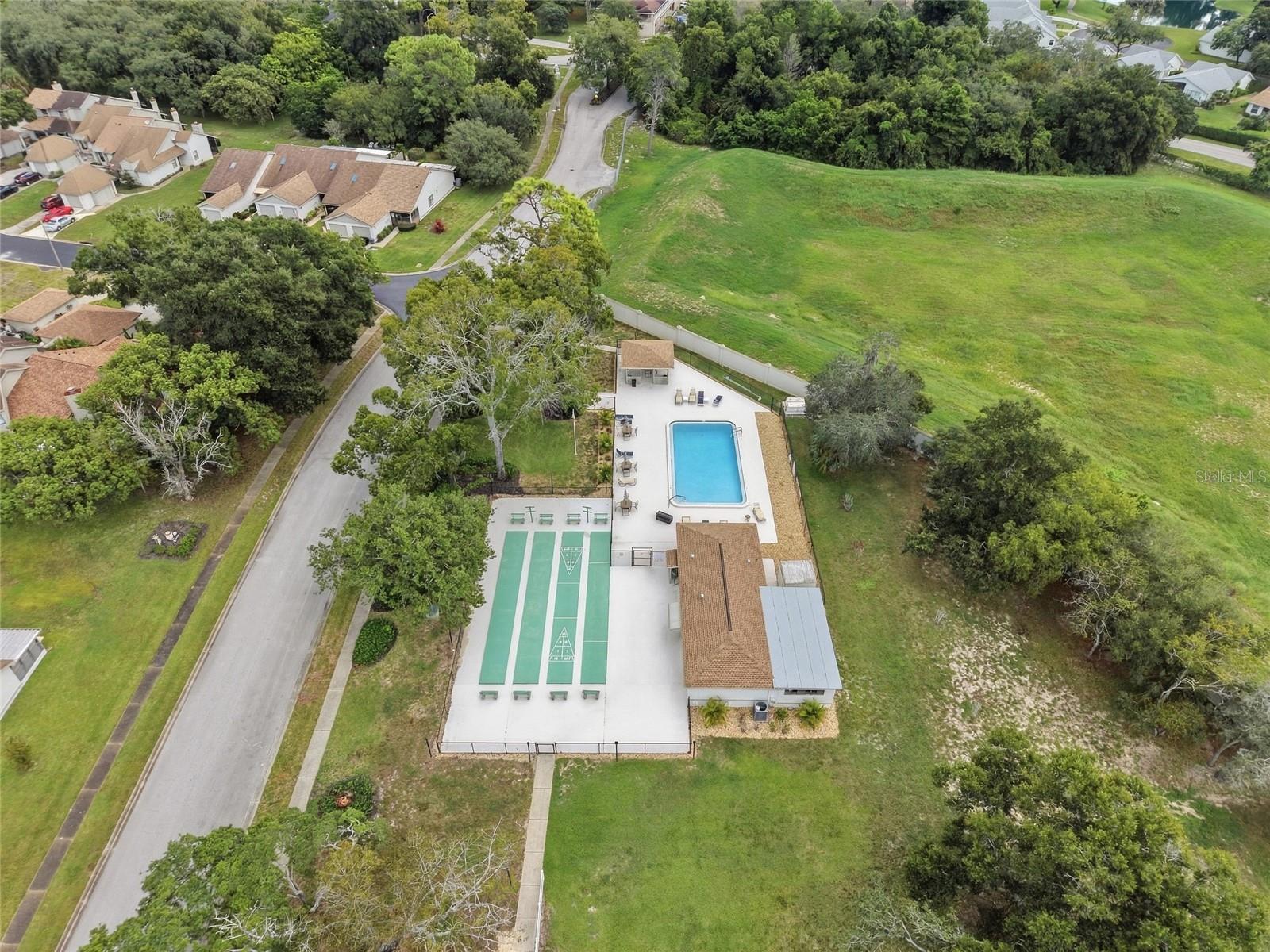 11715 SPRING TREE LN