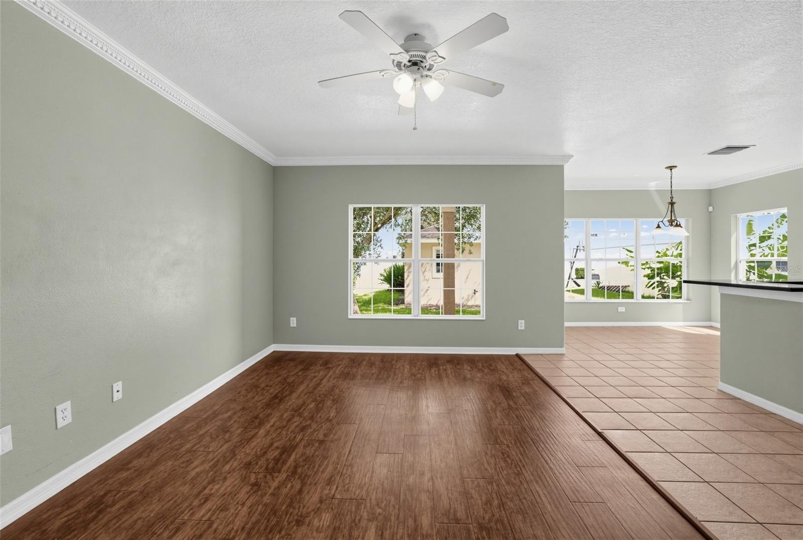 16234 BRIDGEWALK DR