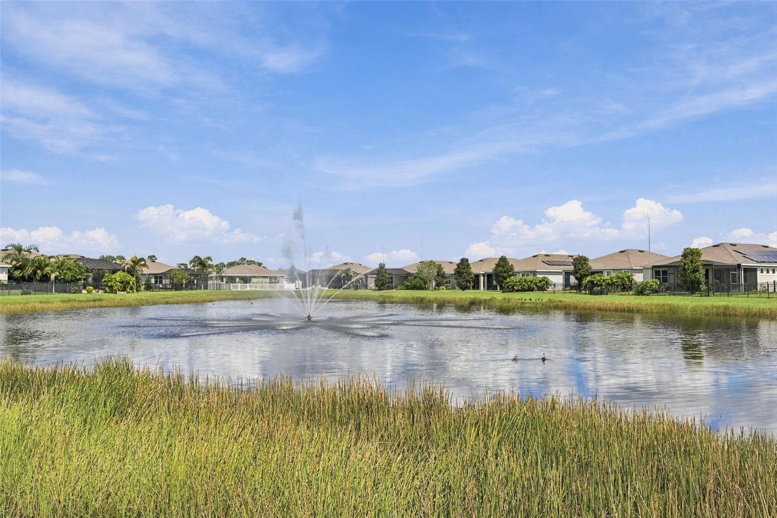 13344 WATERLEAF GARDEN CIR