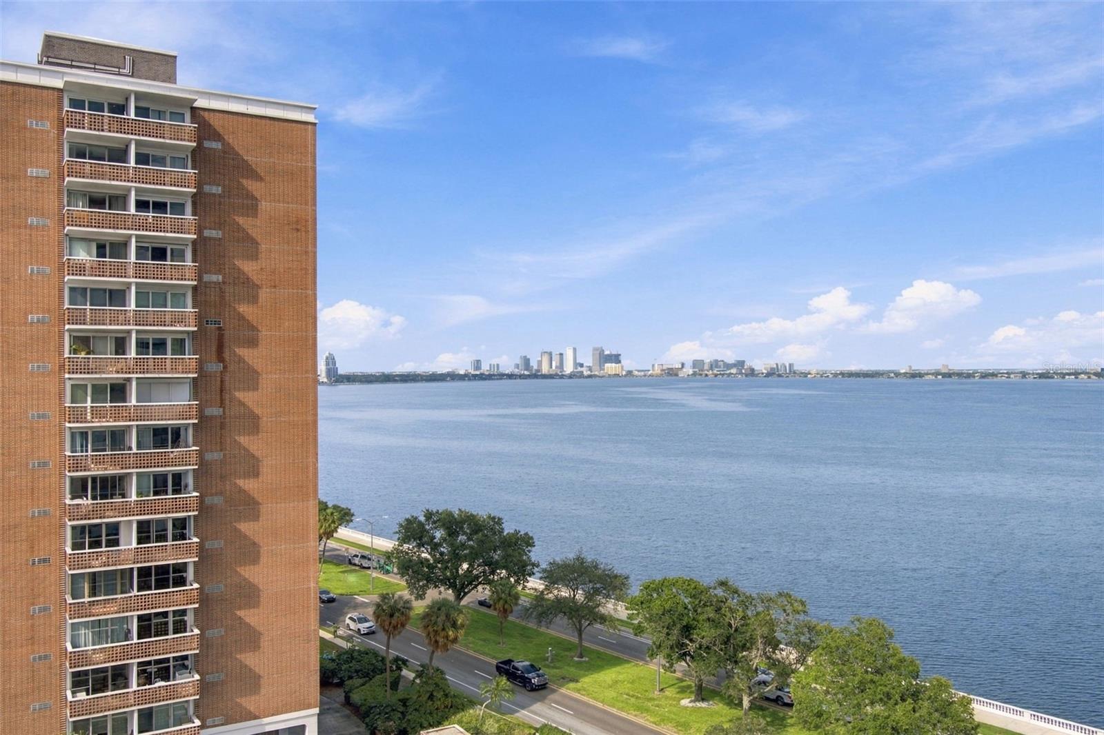 4141 BAYSHORE BLVD #1106