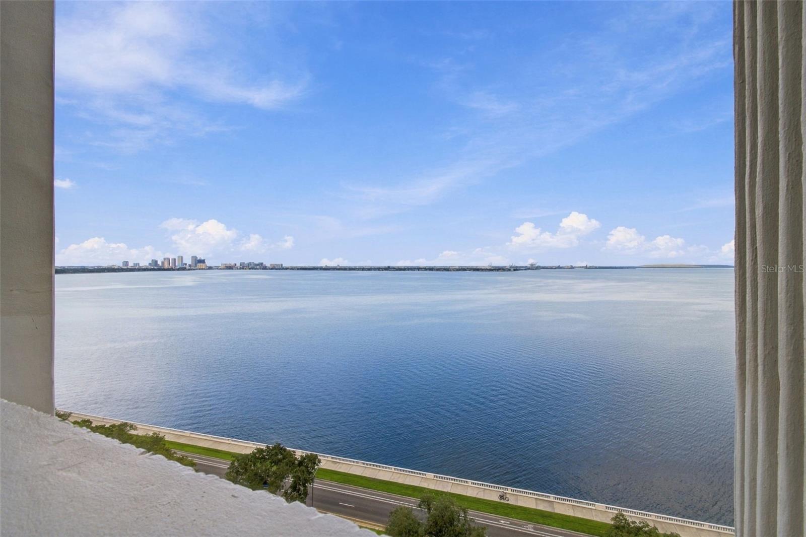 4141 BAYSHORE BLVD #1106