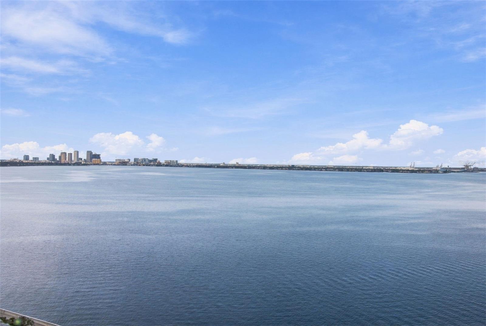 4141 BAYSHORE BLVD #1106