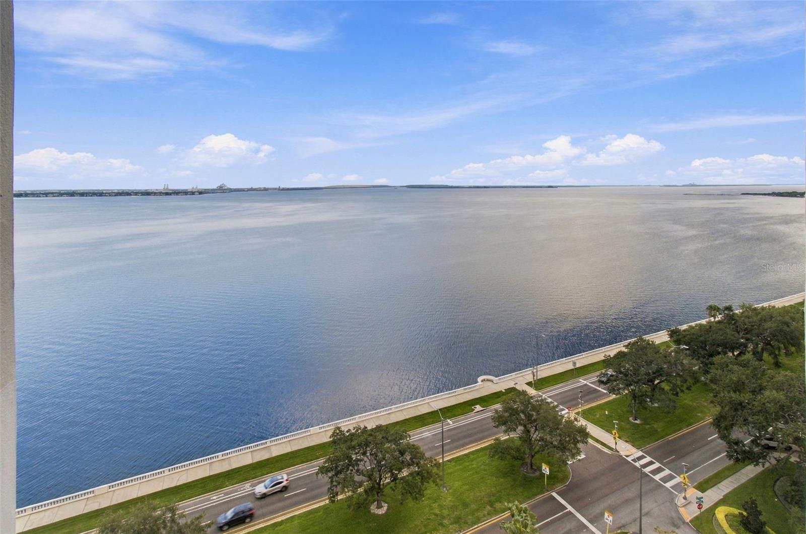 4141 BAYSHORE BLVD #1106