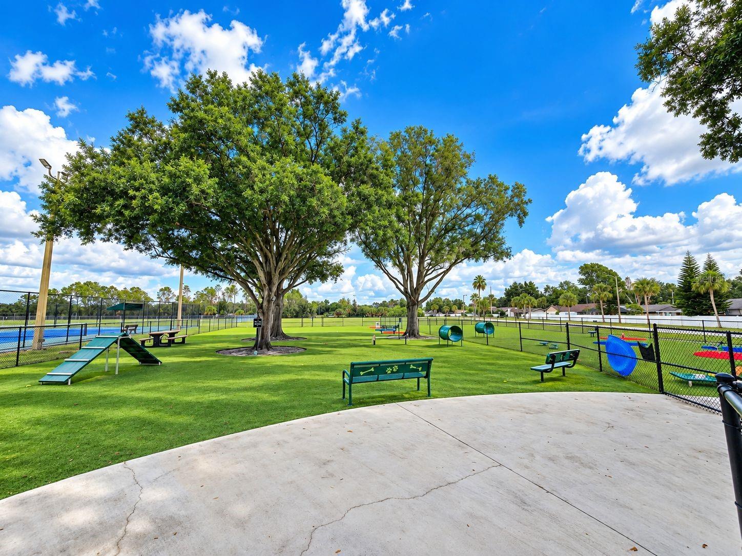 13215 PIKE LAKE DR