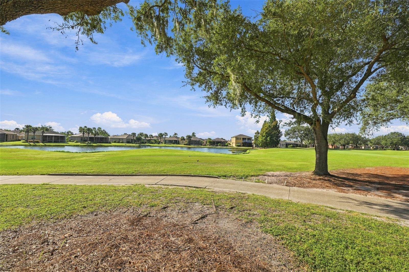 1106 EMERALD DUNES DR