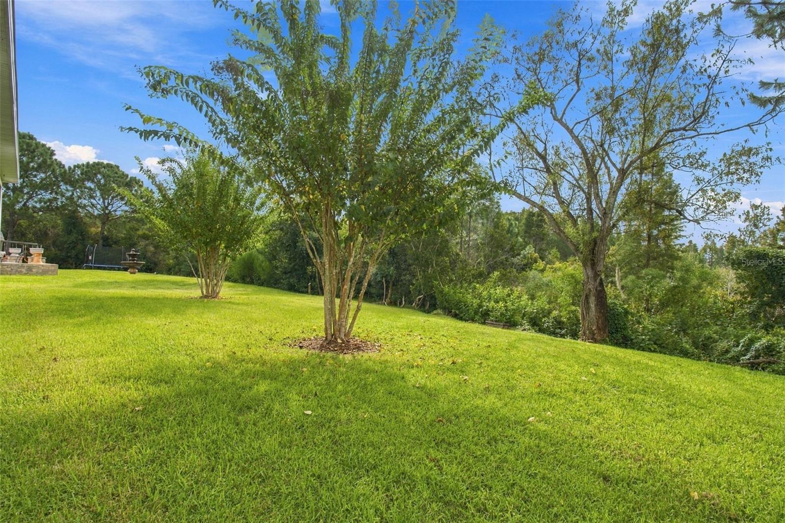 30444 PECAN VALLEY LOOP