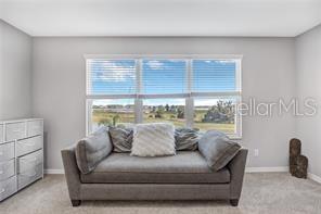 32455 SAPNA CHIME DR