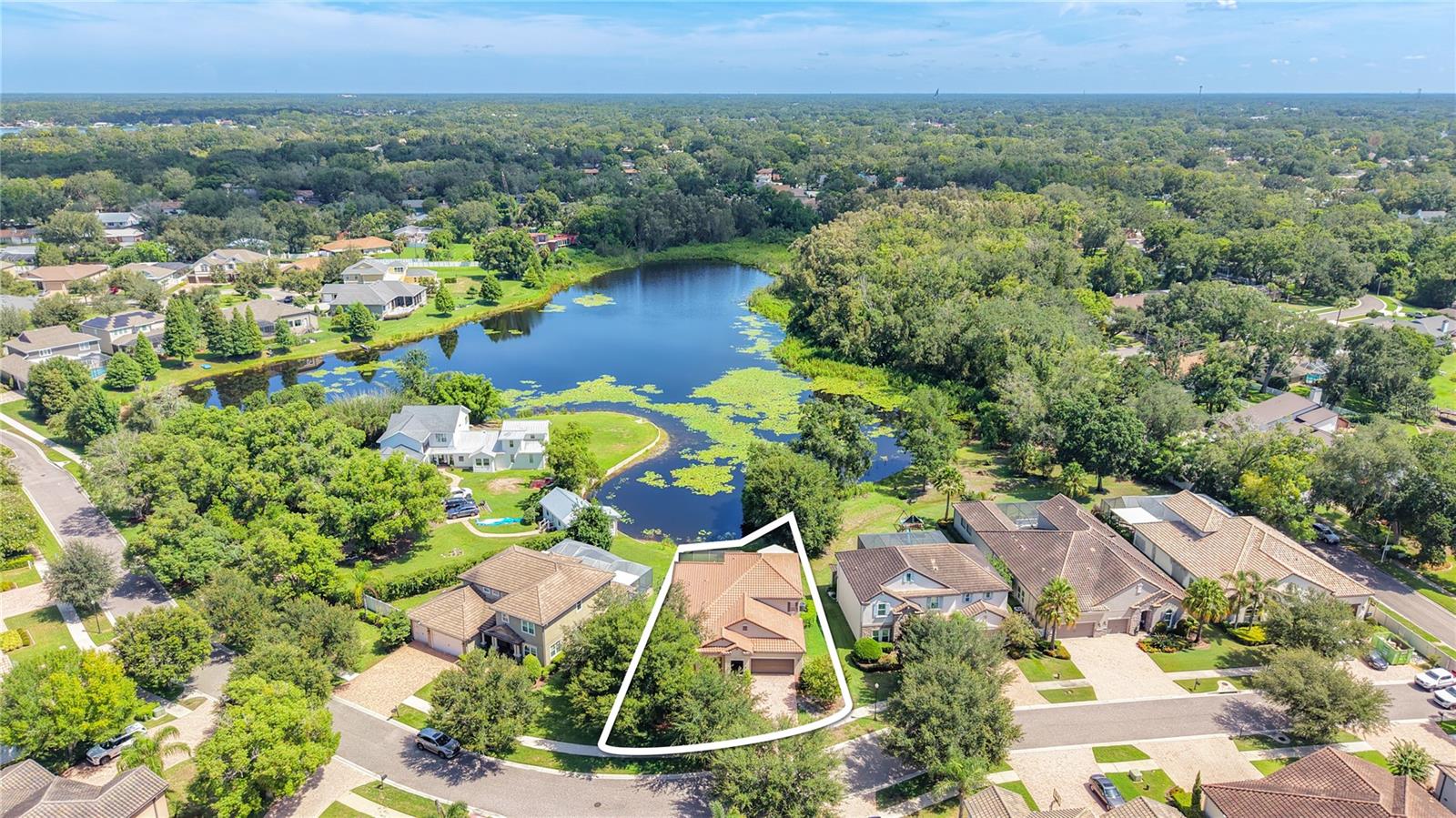1107 Isobel Reserve Ln, Tampa