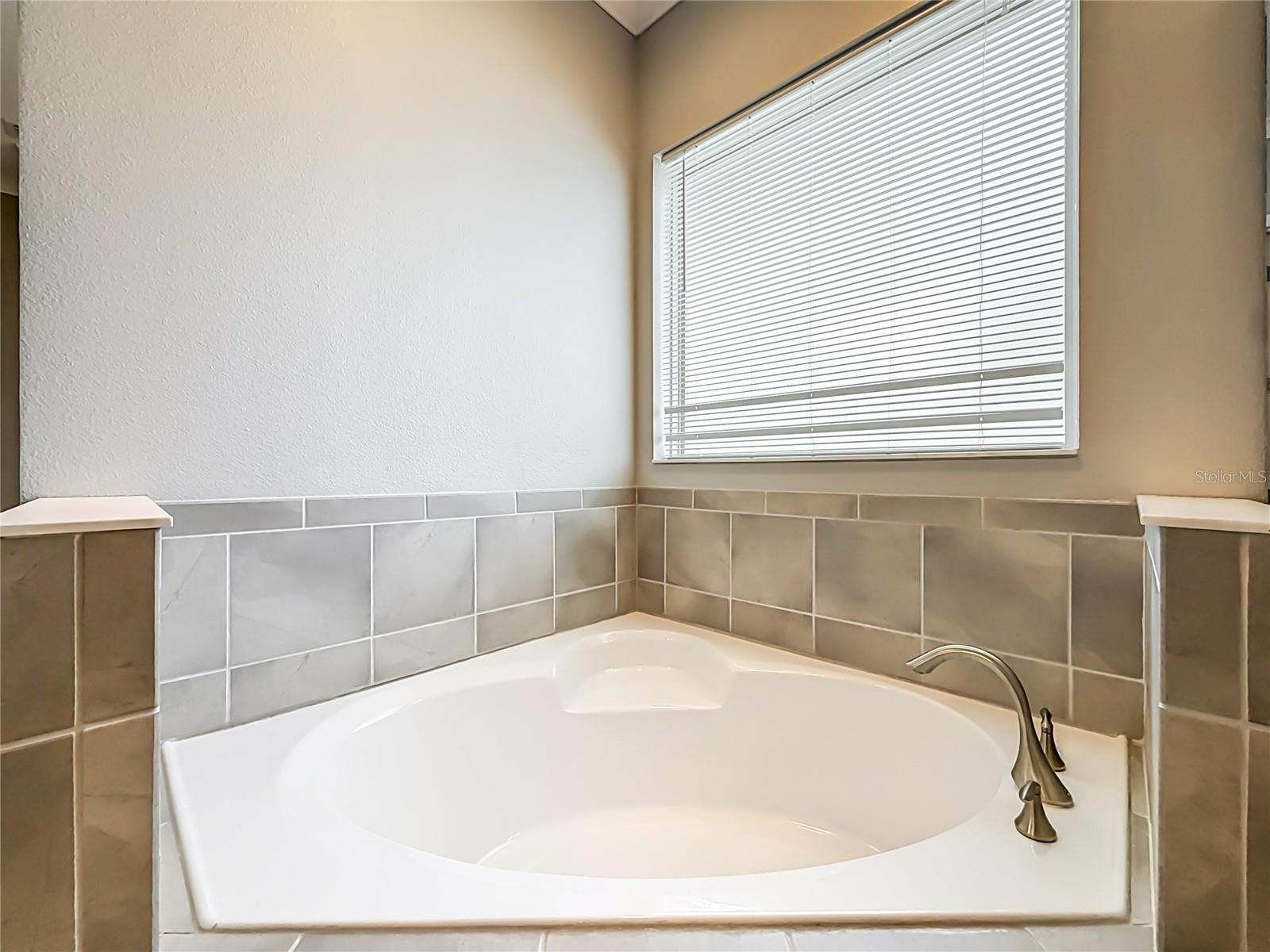 1107 ISOBEL RESERVE LN