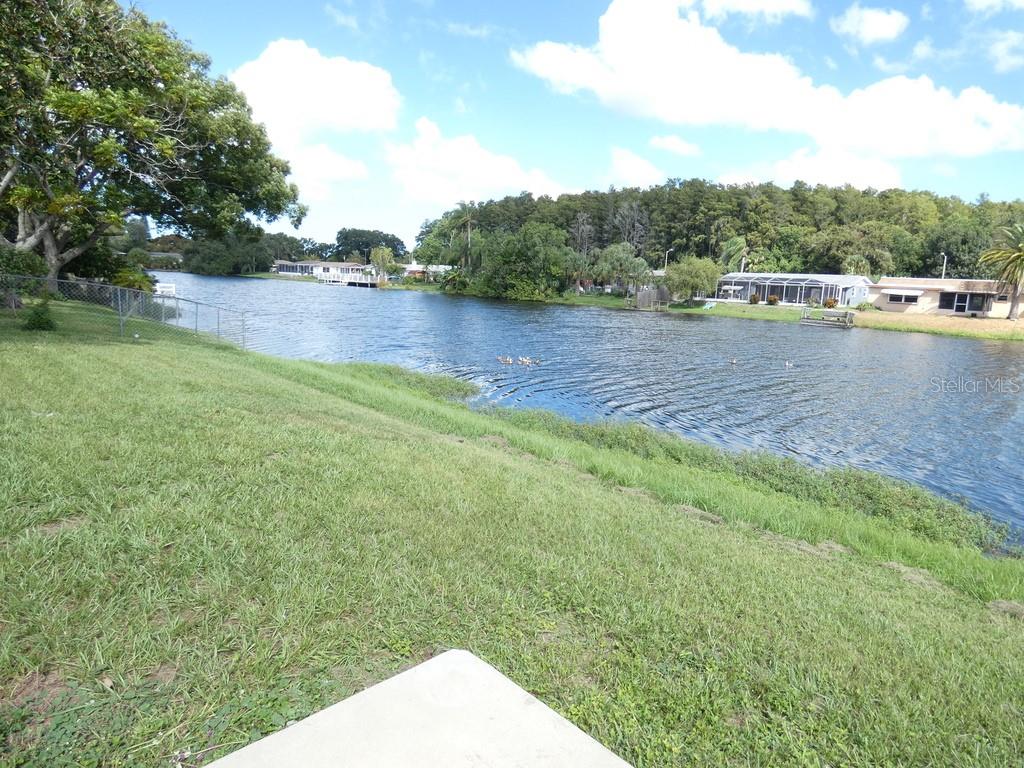7207 ASHWOOD DR