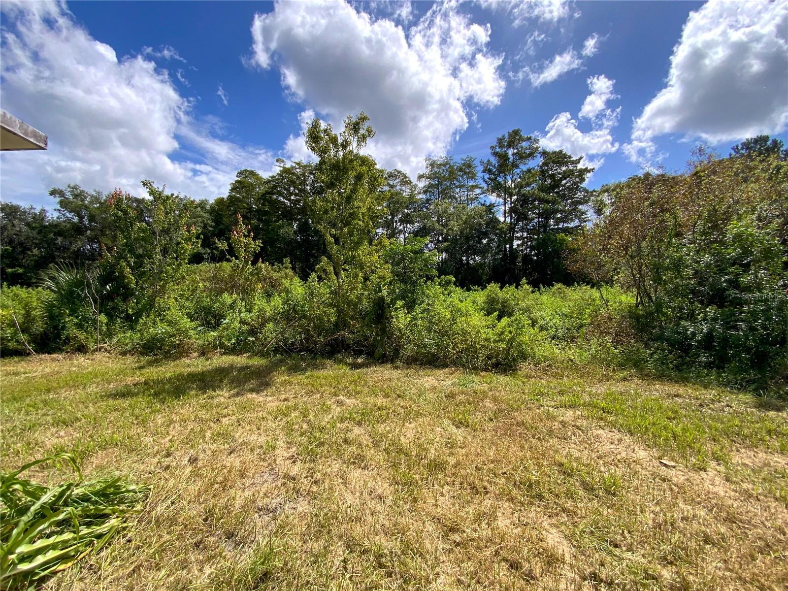 12622 TIMBERWOOD CT