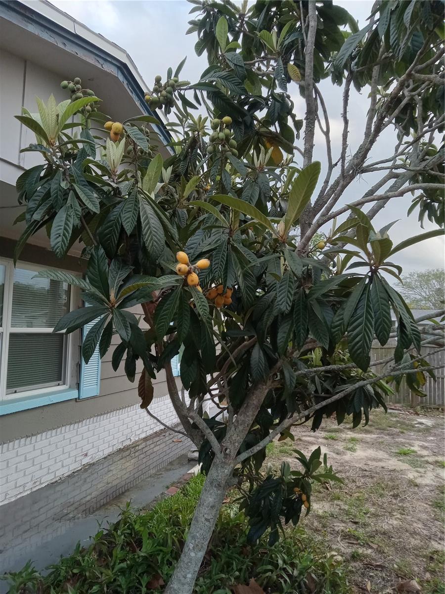 3650 PECONIC WAY