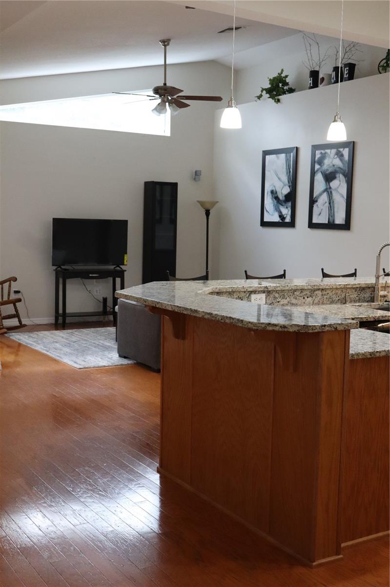 12306 JOAVAJIN RD