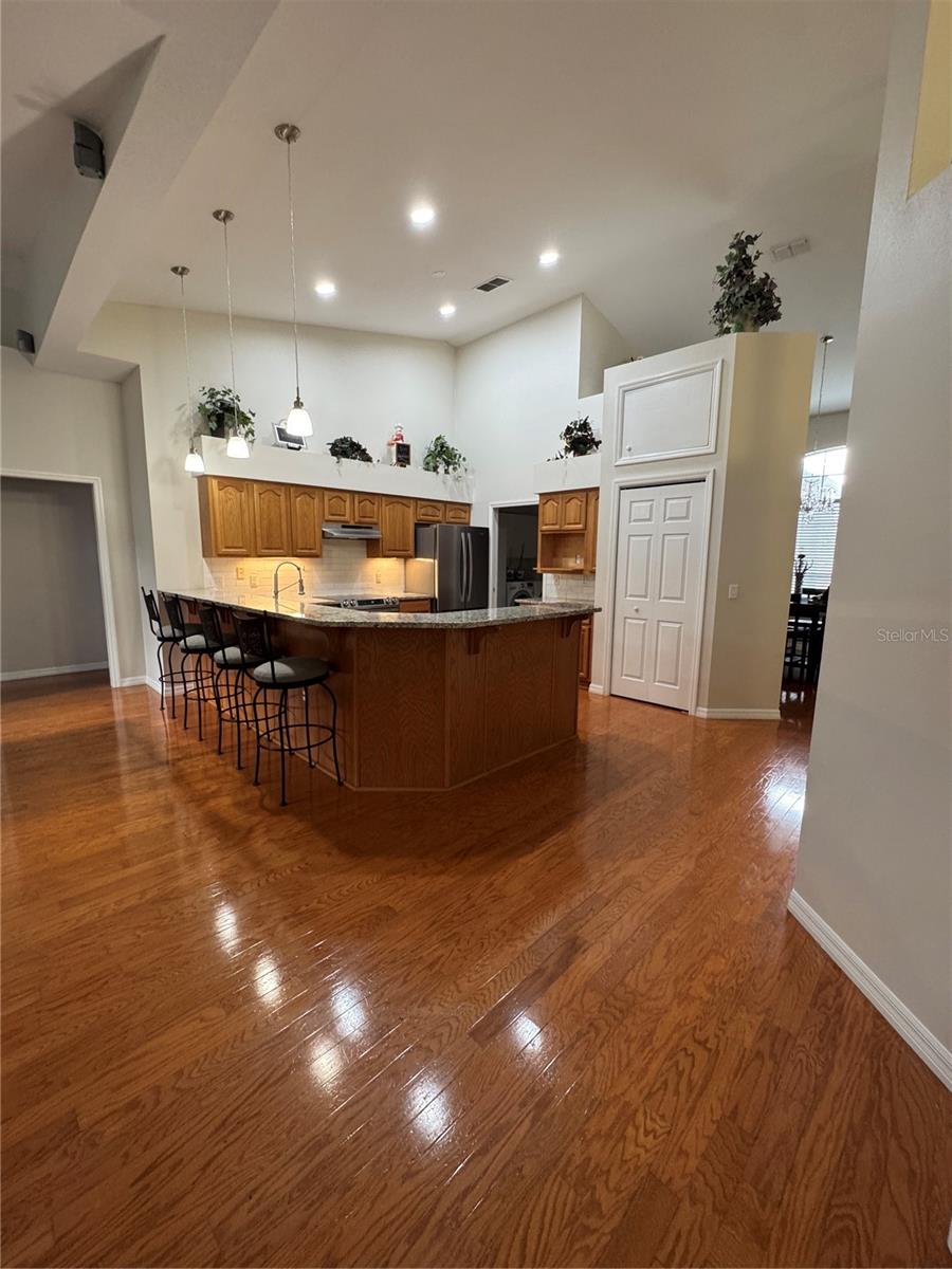 12306 JOAVAJIN RD