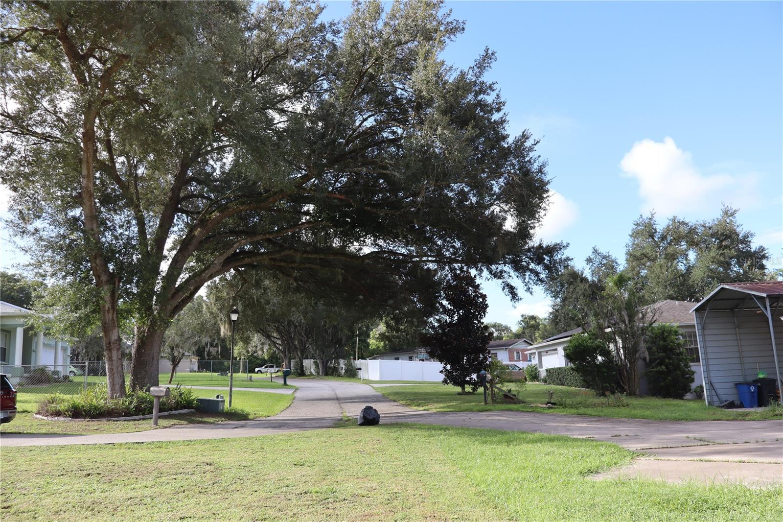 12306 JOAVAJIN RD