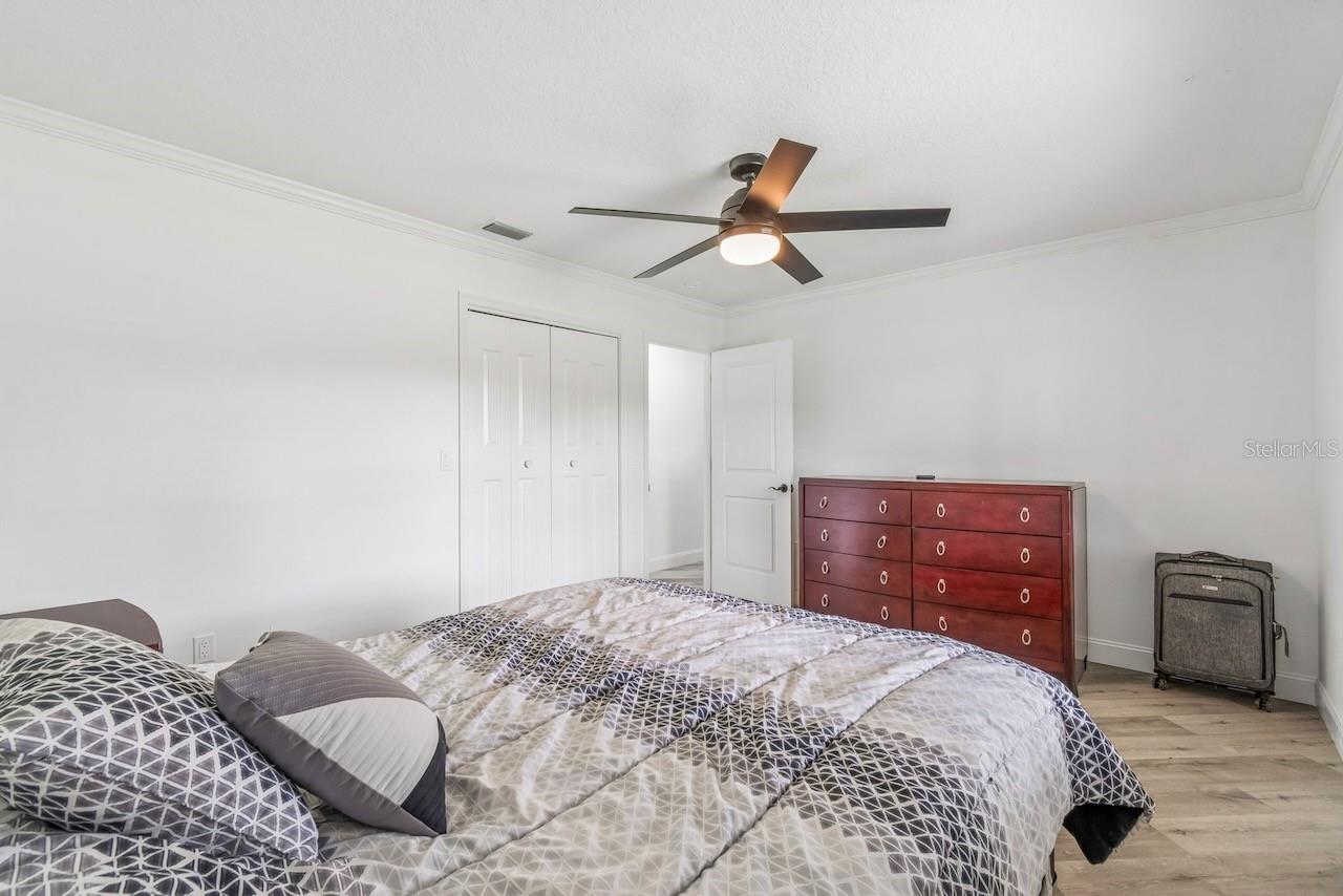 16218 FRINGE TREE DR