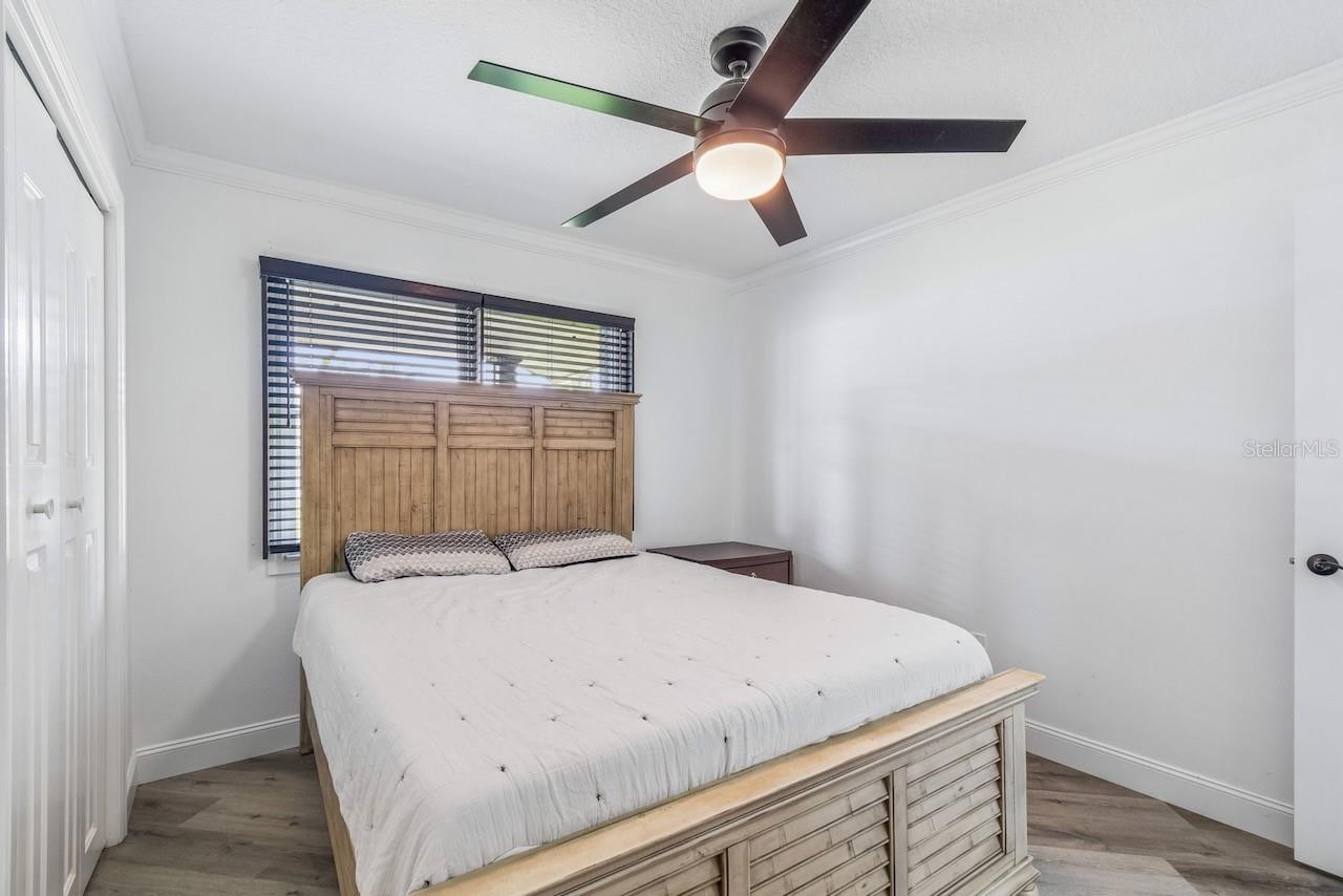 16218 FRINGE TREE DR
