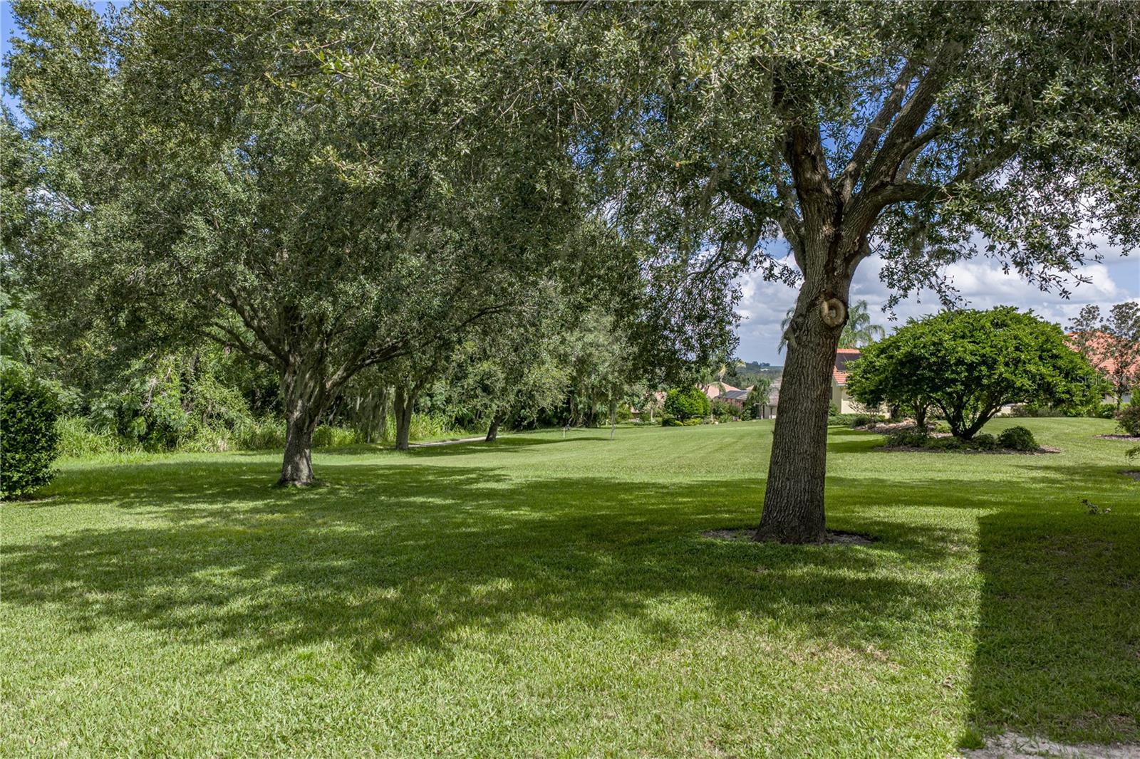 13353 CARNOUSTIE CIR