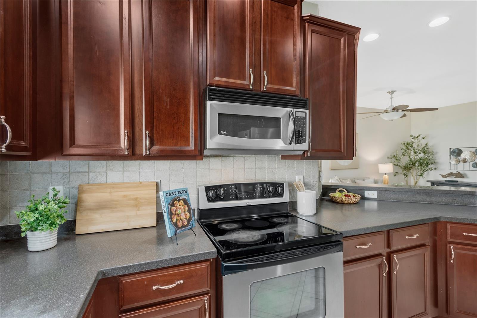 1133 ANDREW AVILES CIR