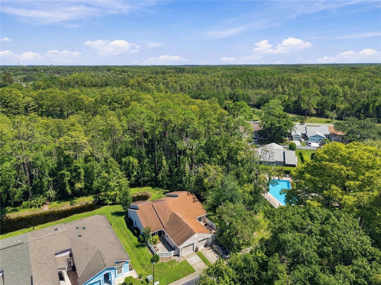 12508 HOLLYBROOK LN