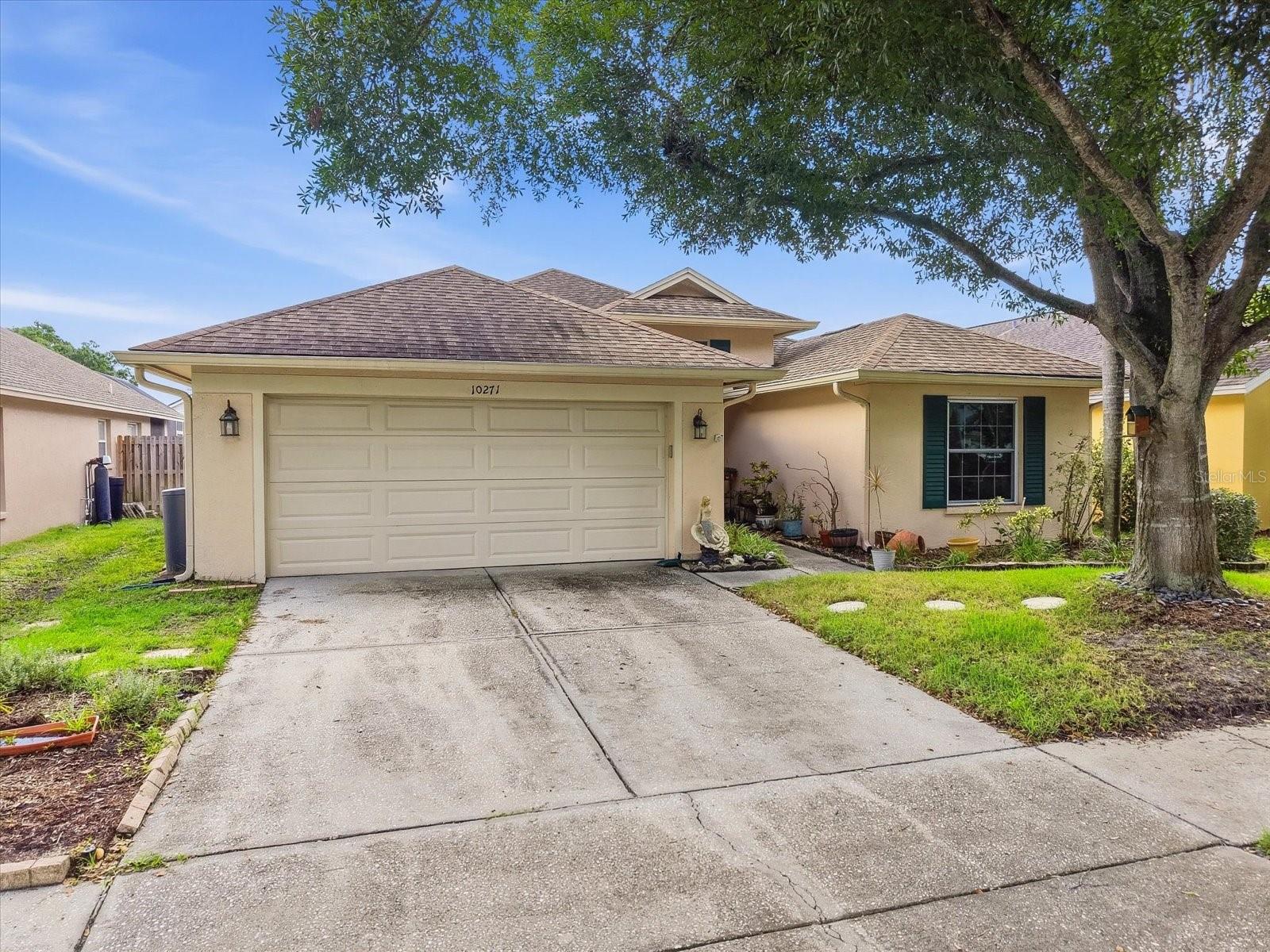 10271 OASIS PALM DR