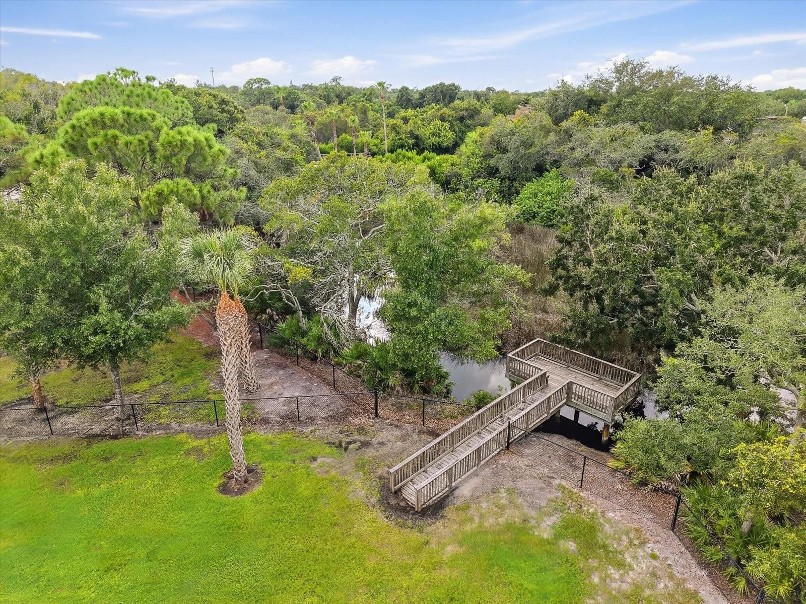10271 OASIS PALM DR
