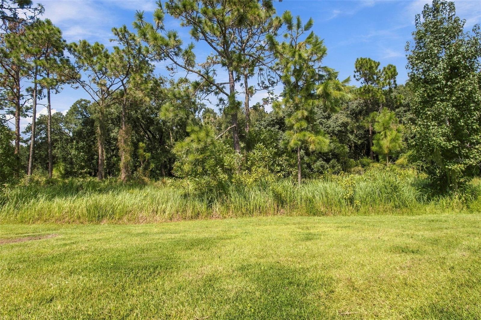 20163 UMBRIA HILL DR