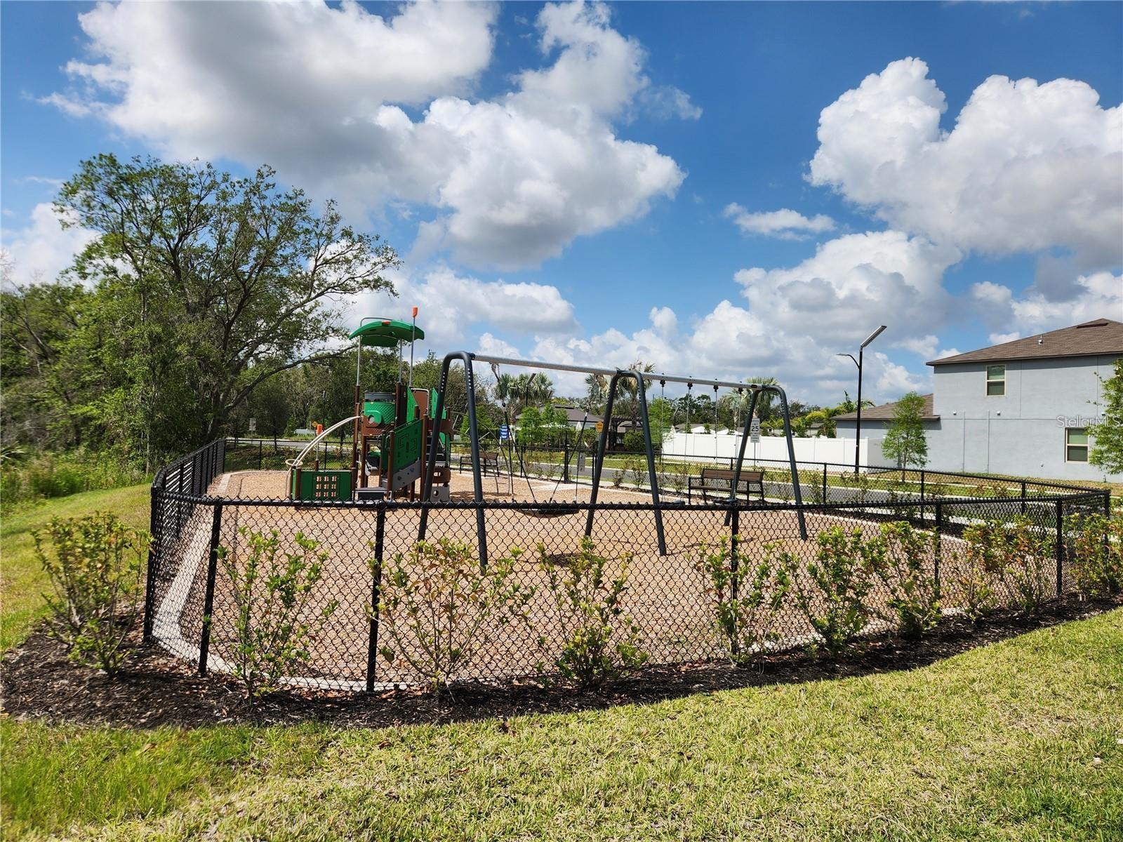 10357 SCARLET SKIMMER DR