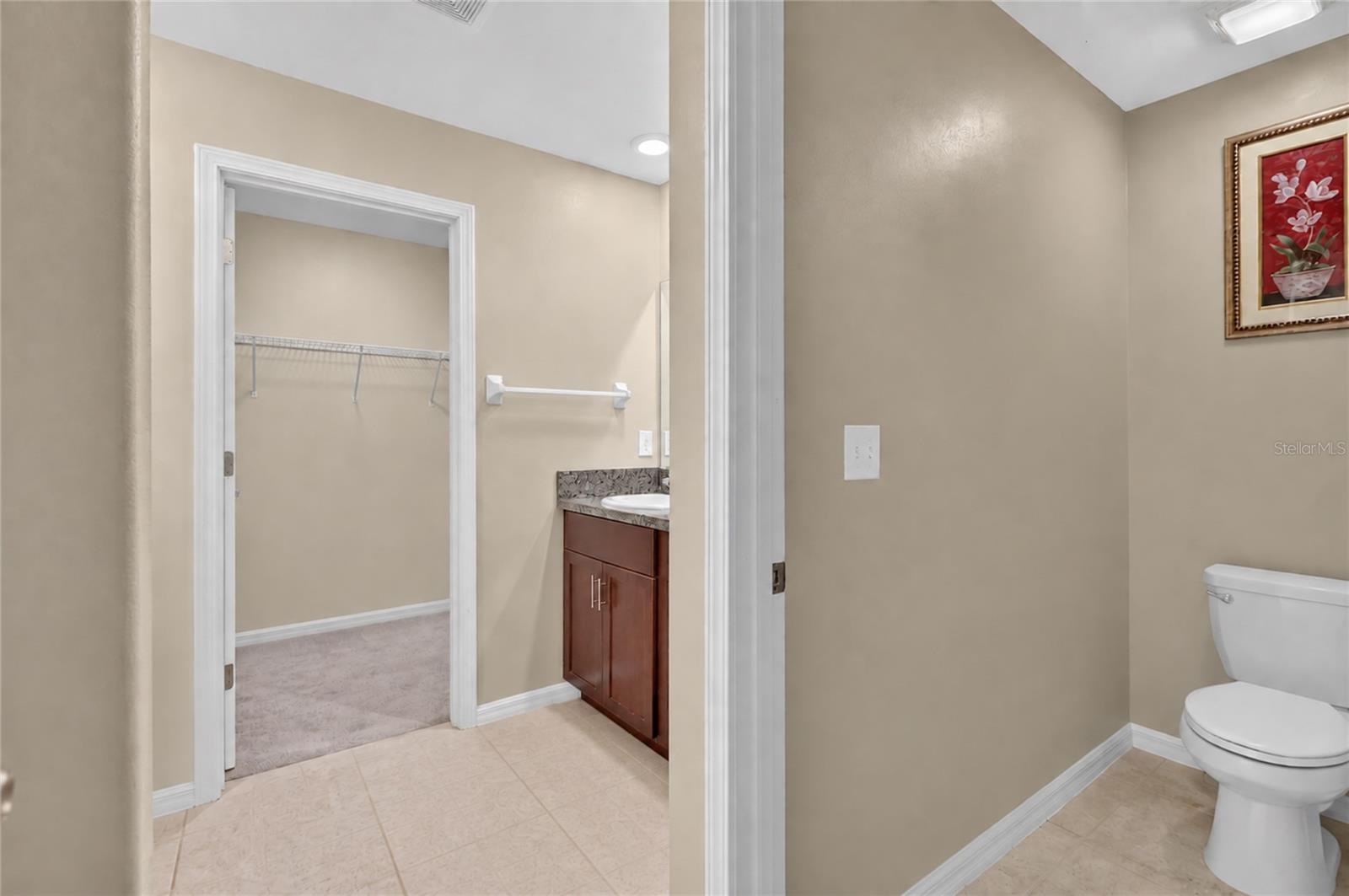 5111 WHITE CHICORY DR