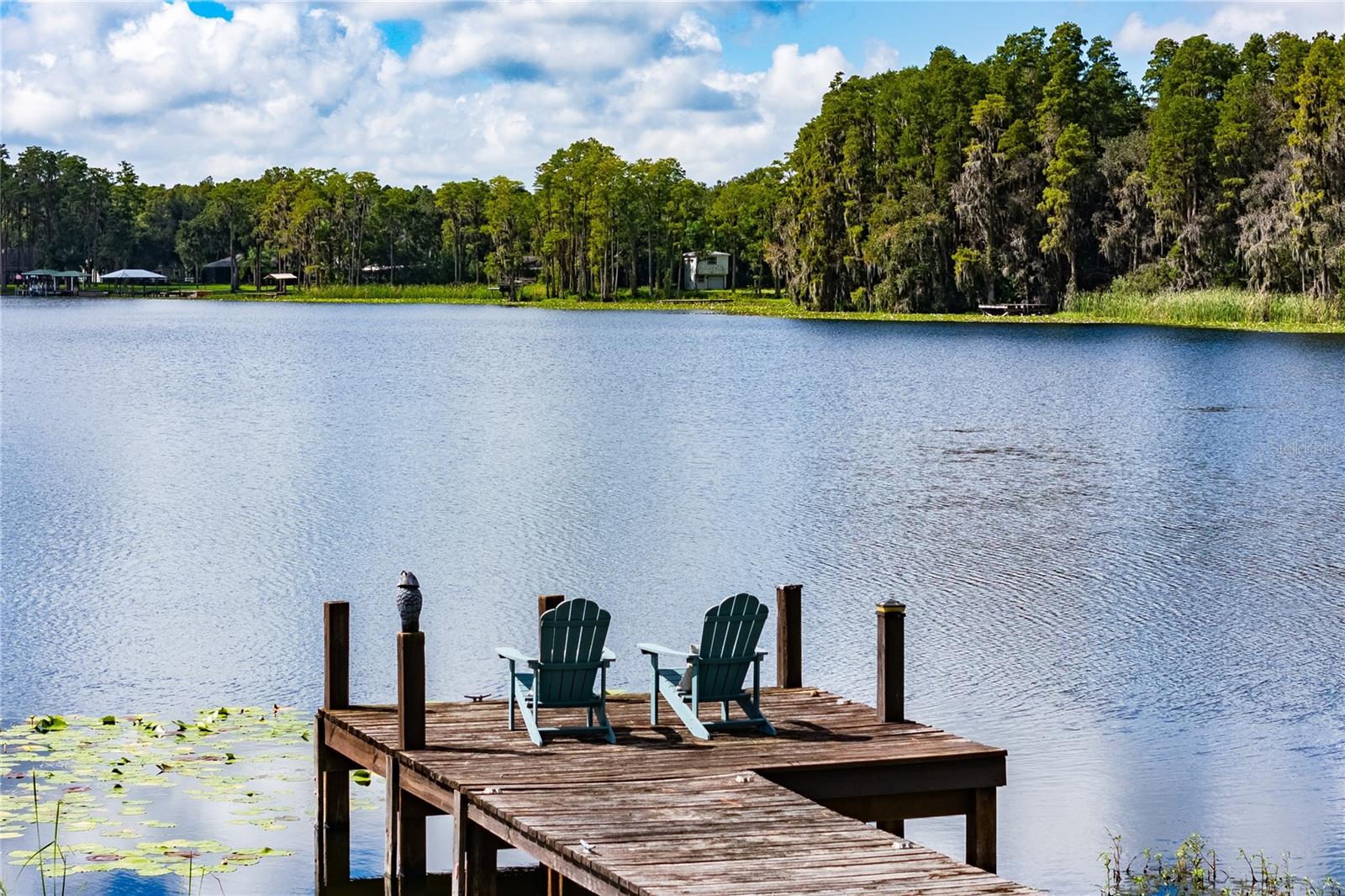 2963 LAKE SAXON DR