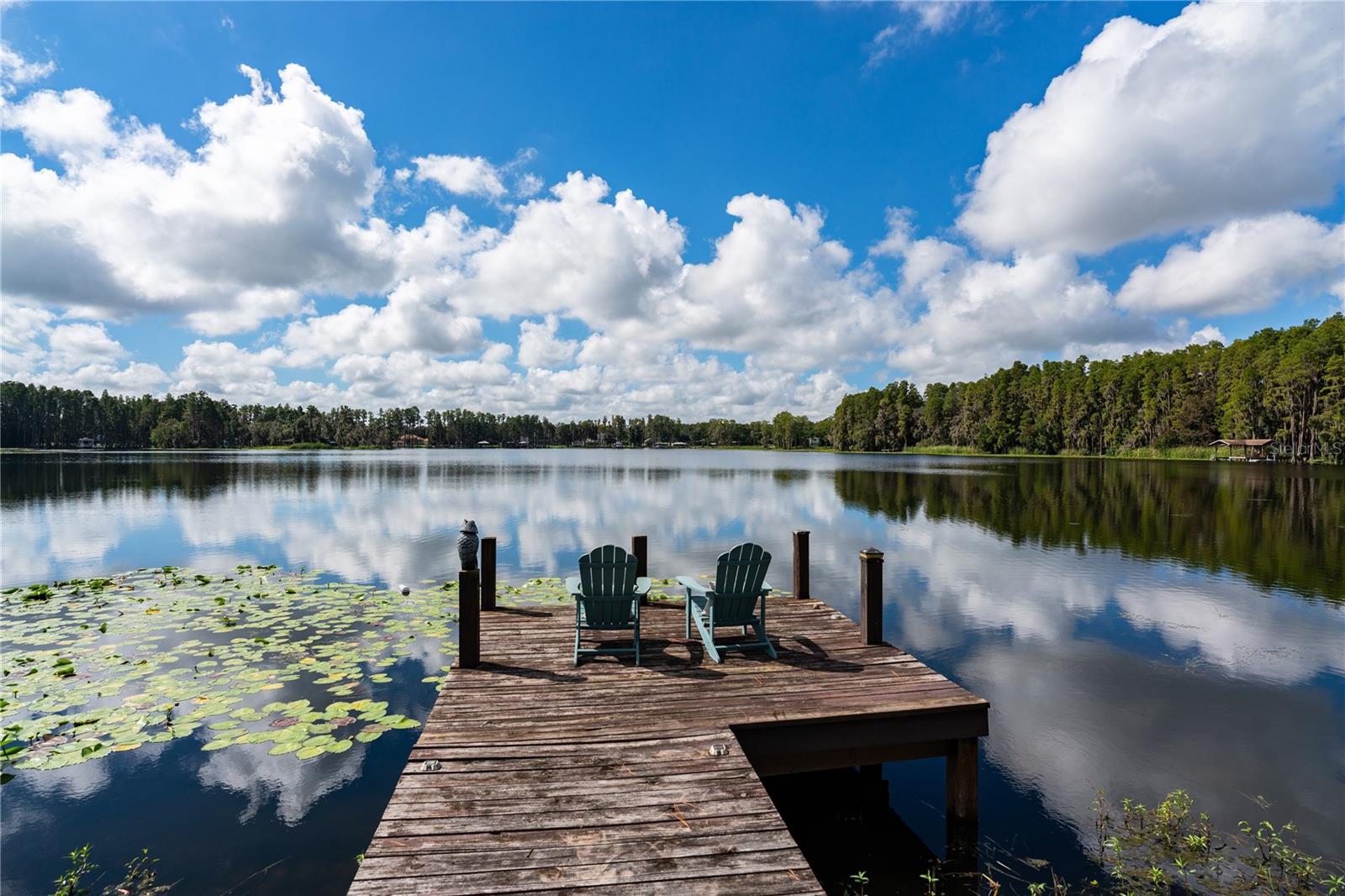 2963 LAKE SAXON DR