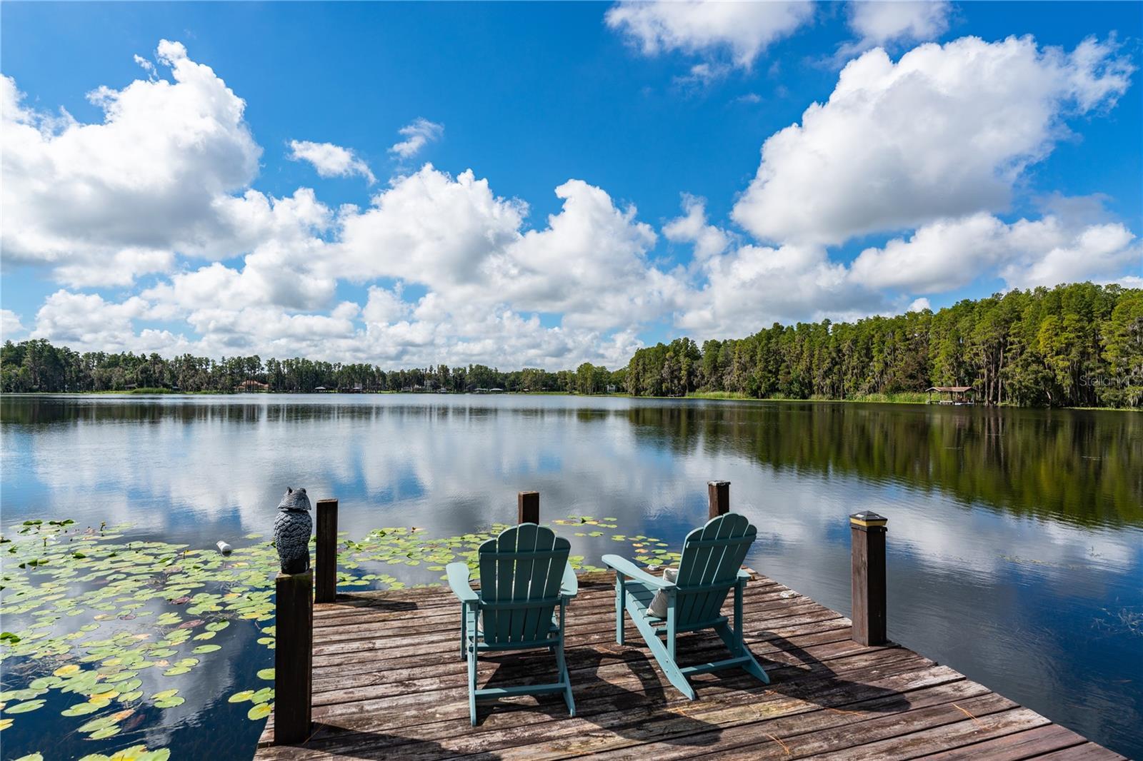 2963 LAKE SAXON DR