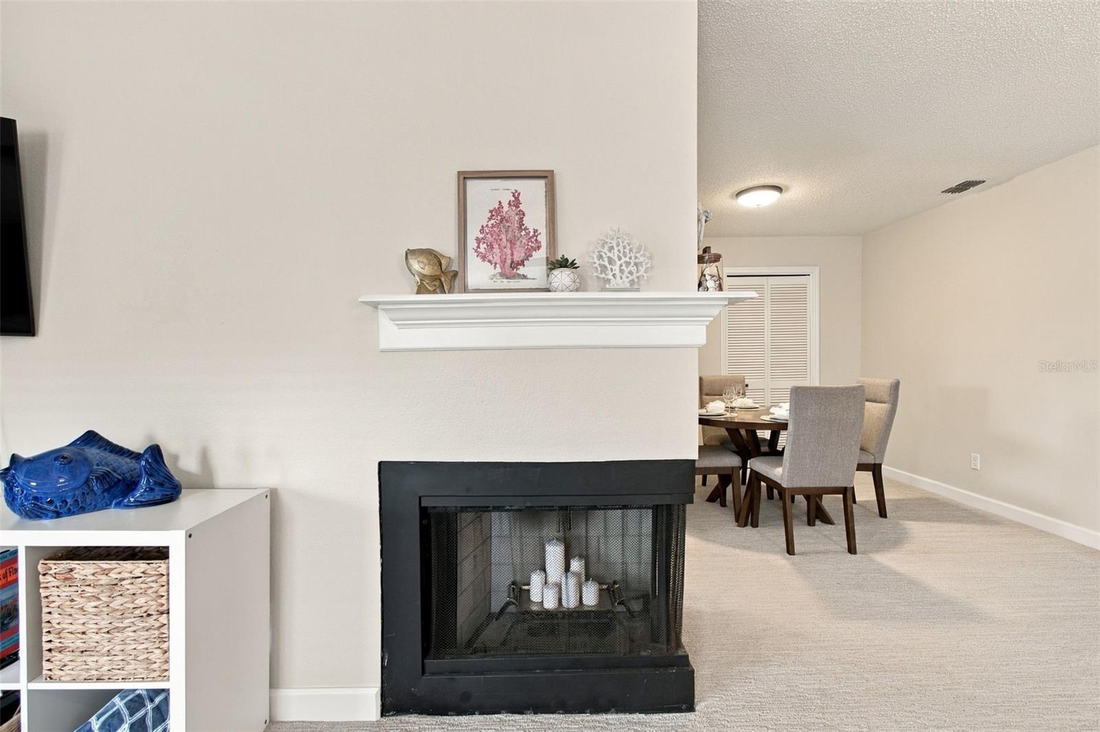 13036 VILLAGE CHASE CIR #13036
