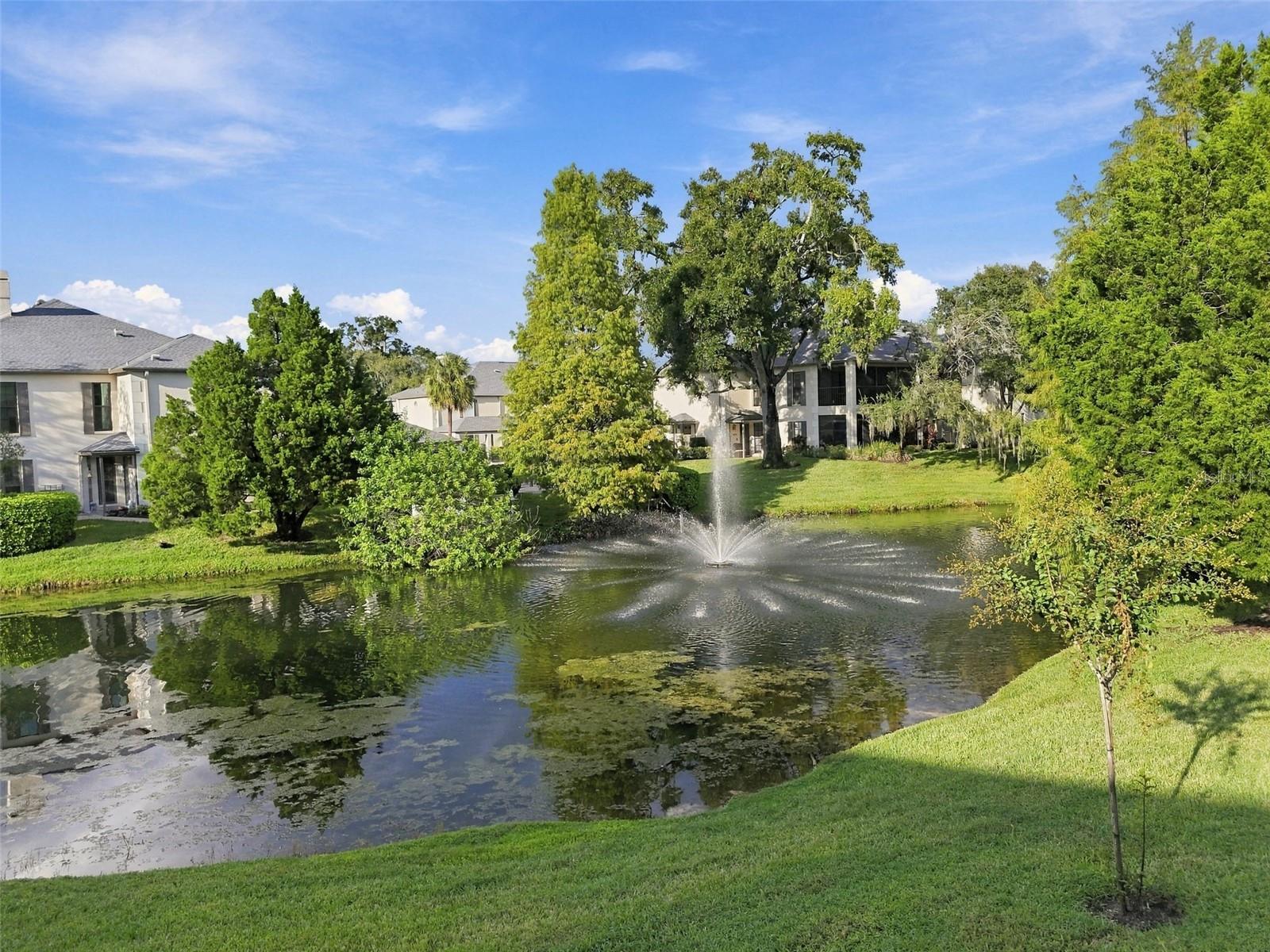 13036 VILLAGE CHASE CIR #13036