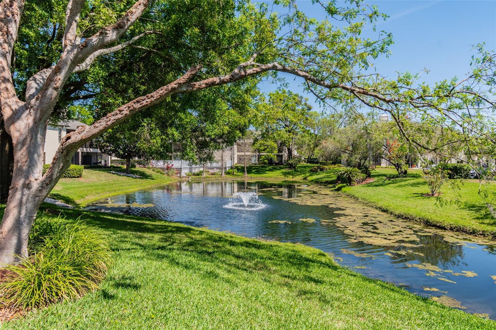 13036 VILLAGE CHASE CIR #13036