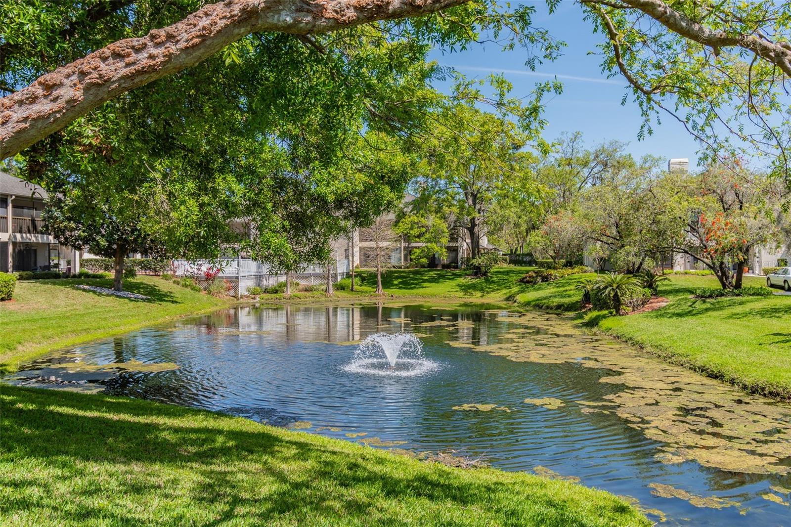 13036 VILLAGE CHASE CIR #13036