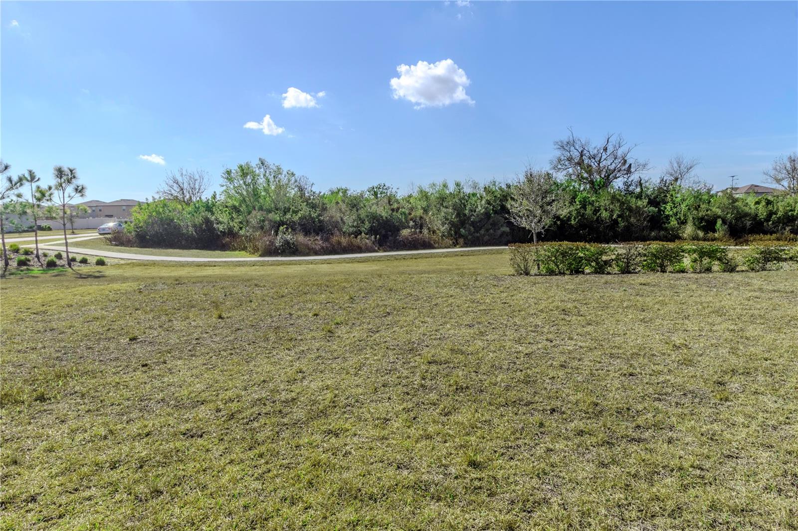 15541 COLT CREEK PL